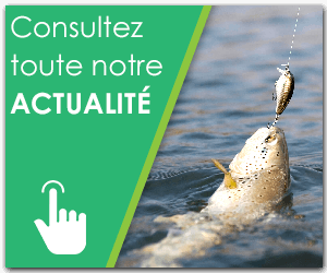 Pave-toute-notre-actu pave-toute-notre-actu